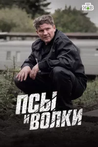 Псы и волки